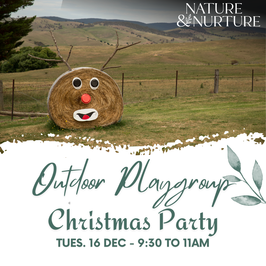 Outdoor Art Playgroup - Christmas Party 2025