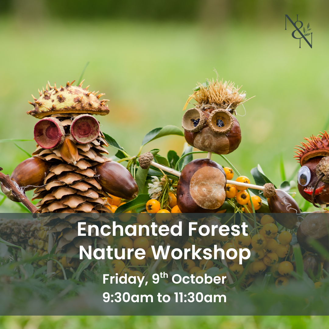 Enchanted Forest Workshop - 9th October