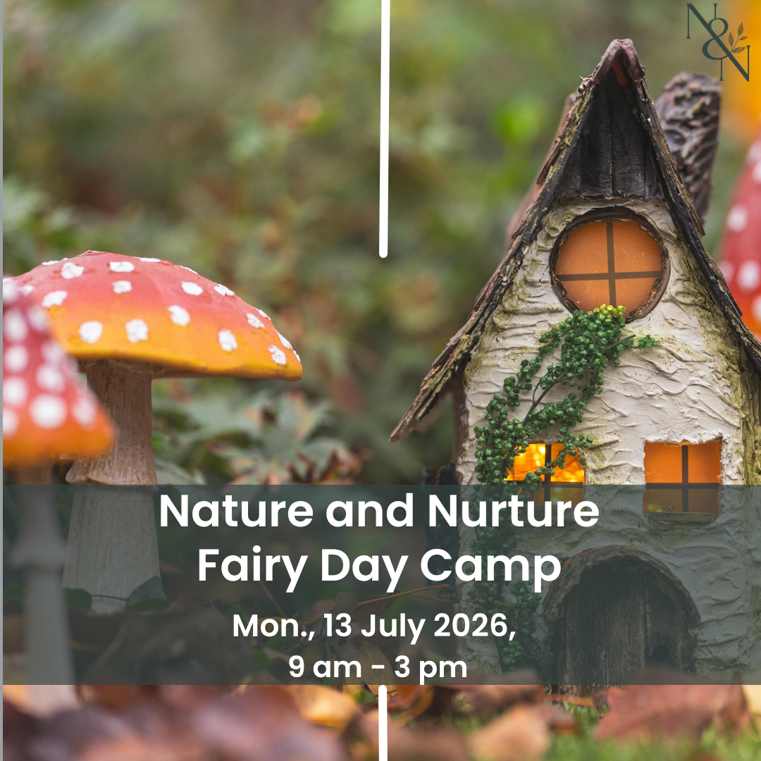 School Holiday Day Camp - Fairy Day Camp - Mon 13 July 2026