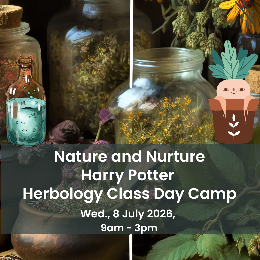 School Holiday Day Camp - Harry Potter Herbology Class - Wed 8 July 2026