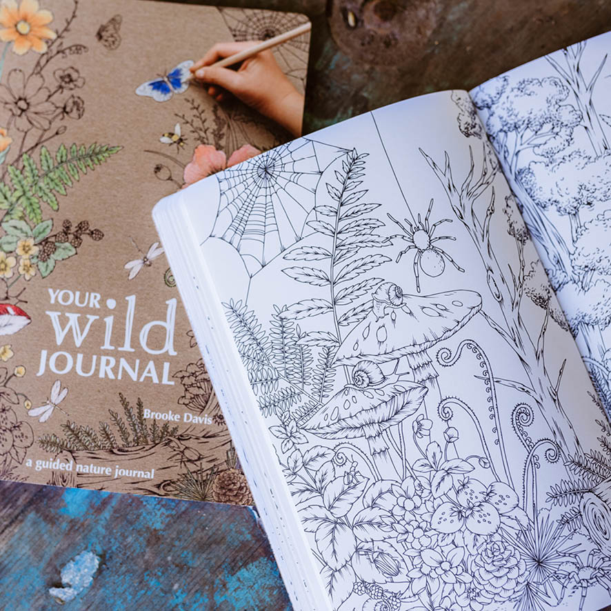 Your Wild Journal: a Guided Nature Journal