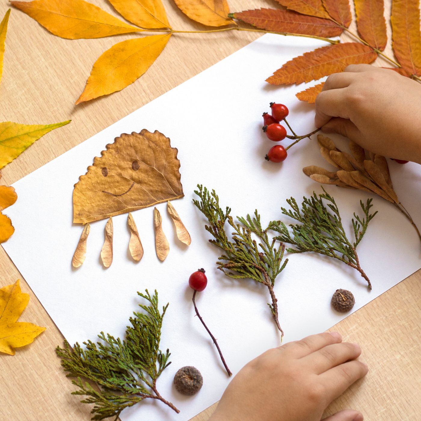 Nature Craft Club - Casual Visit
