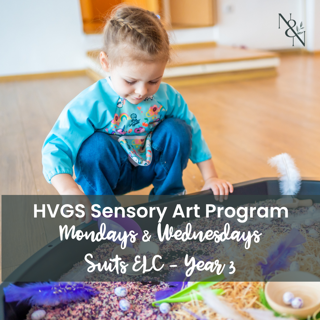 Sensory Art Program - Hunter Valley Grammar School - Term 4 2026
