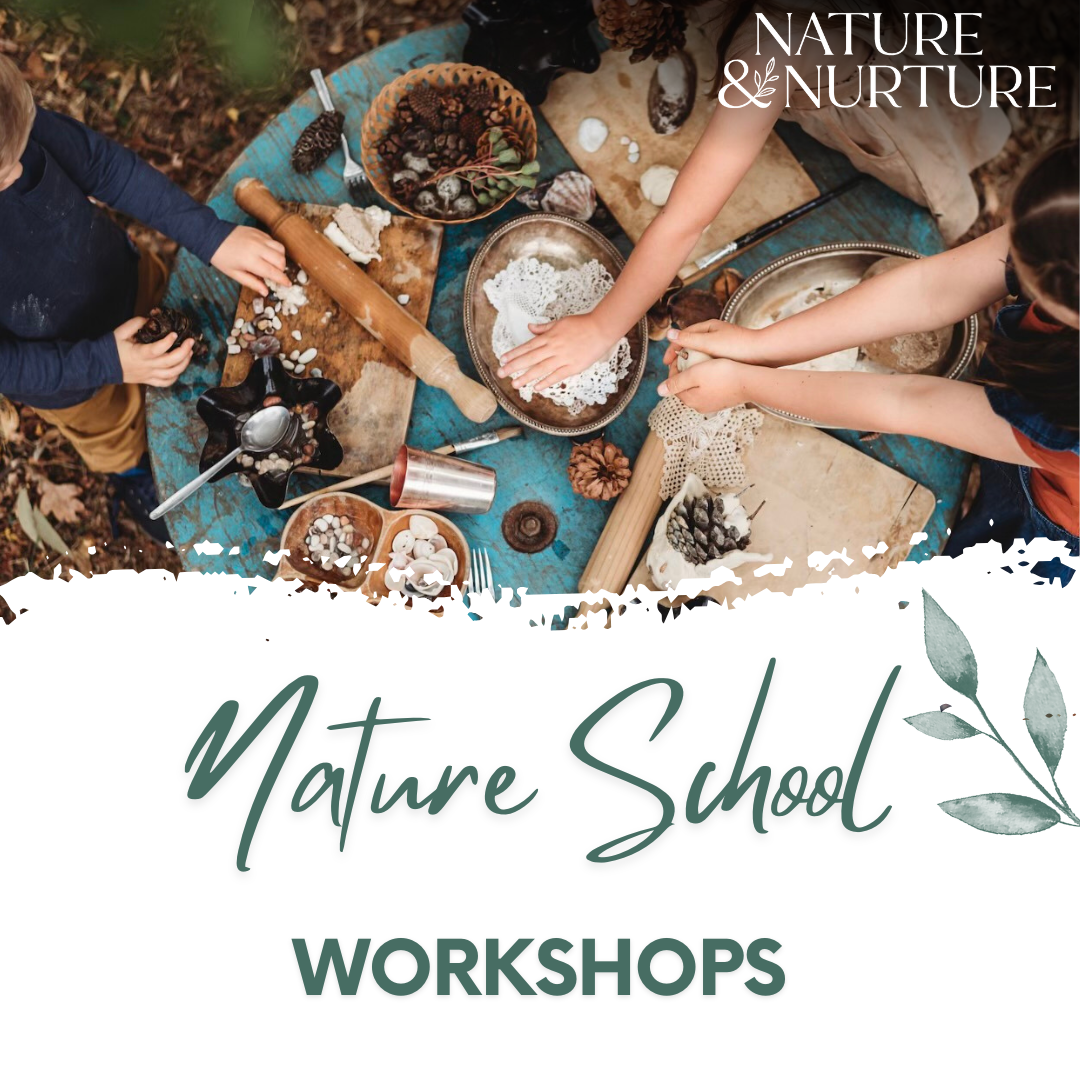Nature School Workshops - Term 4 2025
