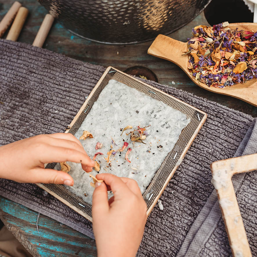 Nature School Workshops - Term 4 2025