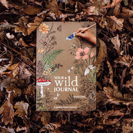 Your Wild Journal: a Guided Nature Journal