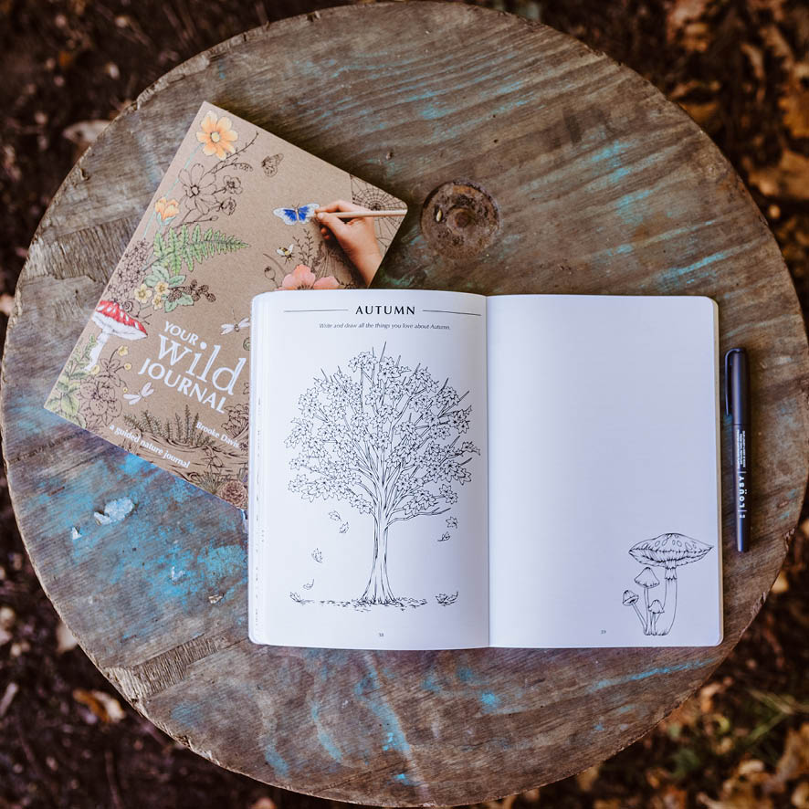 Your Wild Journal: a Guided Nature Journal